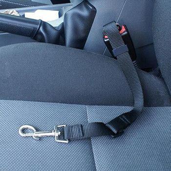 Cinto de Segurança para Pets no Carro – 6 Cores
