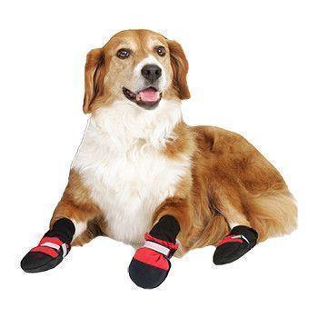 Botas Protetoras para Cães – Verão & Passeio