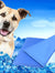 Colchão de Gel Refrescante para Pets – Verão