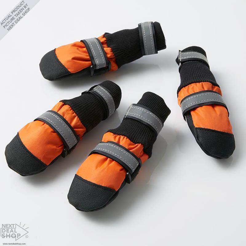 Botas Protetoras para Cães – Verão & Passeio